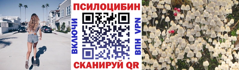 купить закладку  Артём  ссылка на мегу онион  Псилоцибиновые грибы GOLDEN TEACHER 